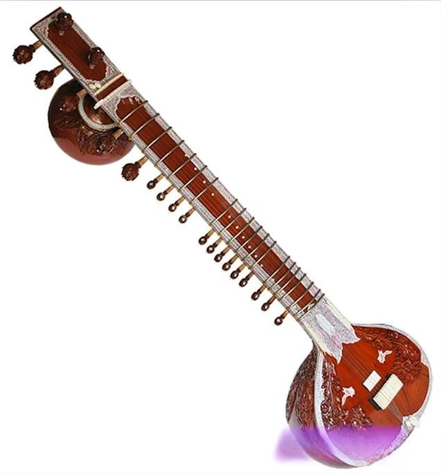 Musical Instrument Sitar - Instrumentos musicais, sitar, estojo rígido profissional