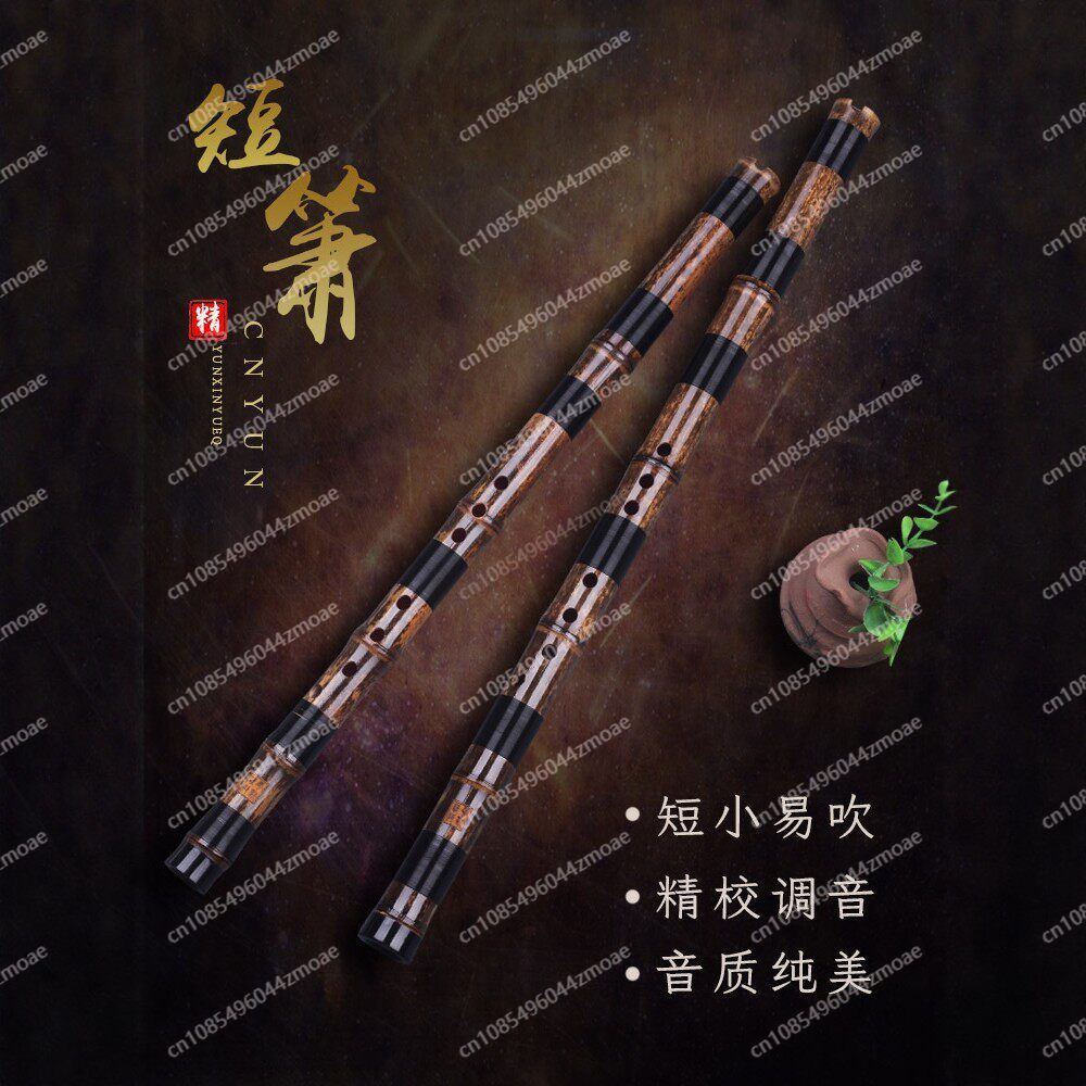 Flauta Profissional de Bambu C - Musical Instrument That You Blow Into avaliação e preço