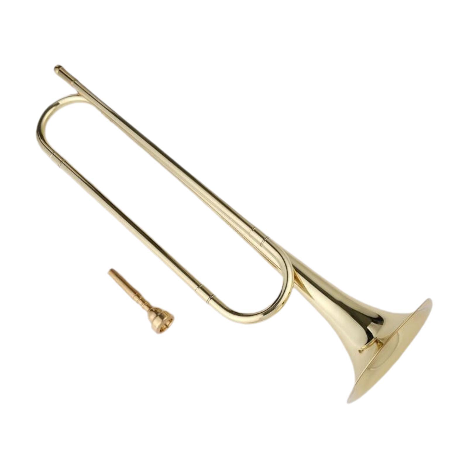 Corneta em Si Bemol para Joven - Musical Instrument Bugle avaliação e preço