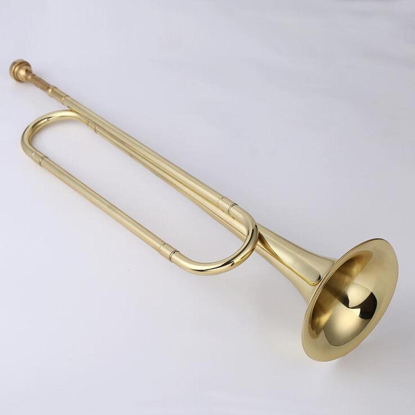 Corneta em Si Bemol para Joven - Musical Instrument Bugle avaliação e preço