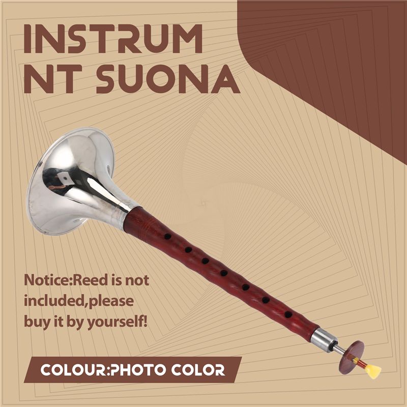 A12E-Instrumento Musical de So - Musical Instrument Zurna avaliação e preço